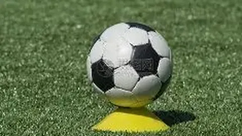 津虎集结备战收官，展望新赛季规划，扫描阅读手机版资讯