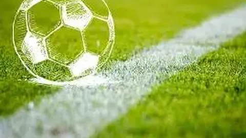 乐竞体育 资讯 095433 28m