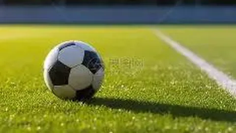 乐竞体育 资讯 095032 9yt